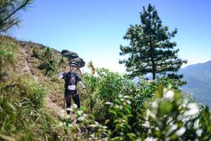 BIB: 
                            <button type="button" onclick="openModal(26608548)" class="btn btn-primary btn-sm float-right btn-popup" data-toggle="modal" data-target=".modal-high-quality">
                        <i class="fas fa-shopping-cart"></i> Add to Cart
                    </button>
                                            <button type="button" onclick="isThisMe(26608548, true)" class="btn btn-success btn-sm float-right btn-popup btn-isme hidden" data-toggle="tooltip" data-placement="bottom" title="นี่คือรูปของคุณใช่ไหม คลิกที่นี่เพื่อเอาเข้าอัลบั้ม">
                        <i class="fas fa-plus"></i> Add to album
                    </button>
                    <button type="button" onclick="isThisMe(26608548, false)" class="btn btn-warning btn-sm float-right btn-popup btn-isnotme hidden">
                        <i class="fas fa-ban"></i> Remove from album
                    </button>